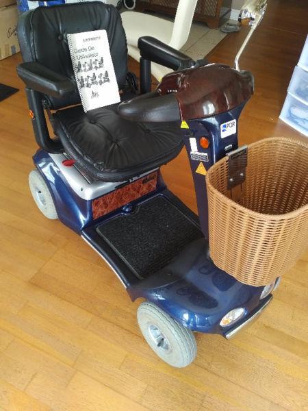 Deluxe Mobility Scooter