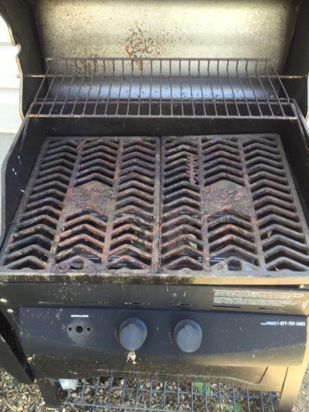 Stainless BBQ