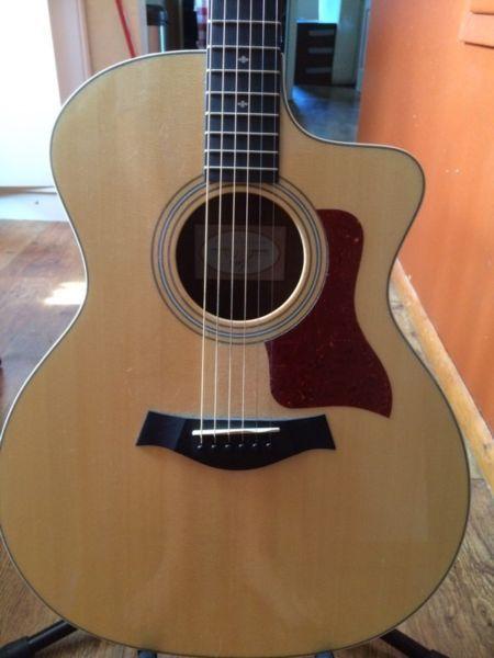 Taylor Acoustic Guitar
