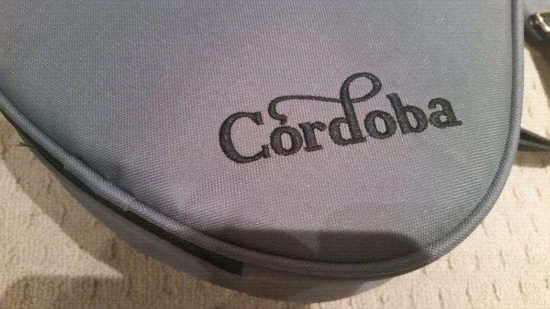 Cool Mini Travel Size Guitar with Case Like New Cordoba Mini R