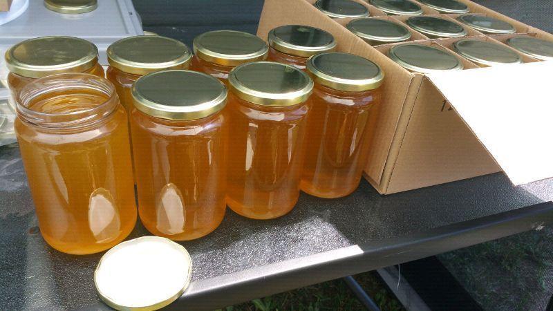 Organic Honey for sale !!!