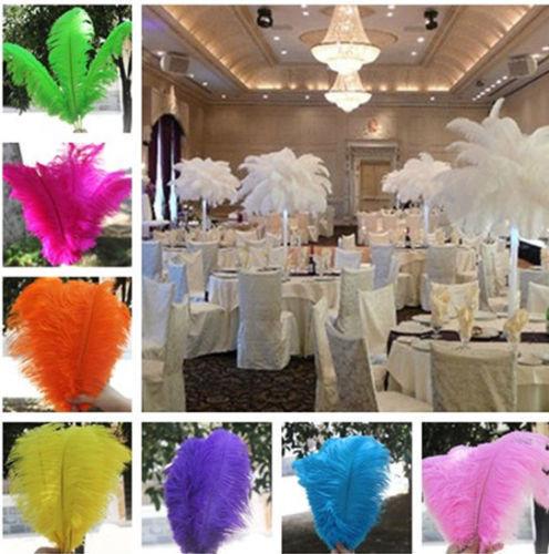 Stunning Wide & Fluffy Ostrich/Peacock Feather/Micro LED Fairy