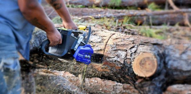 Clean/Quiet Chainsaw for Camping/Cleanup