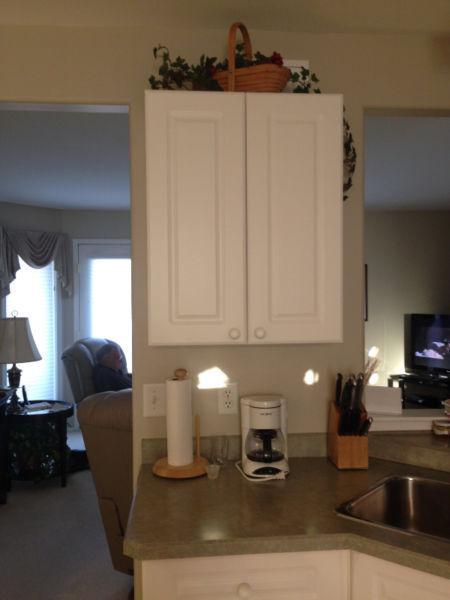 White kitchen cabinets and appliances