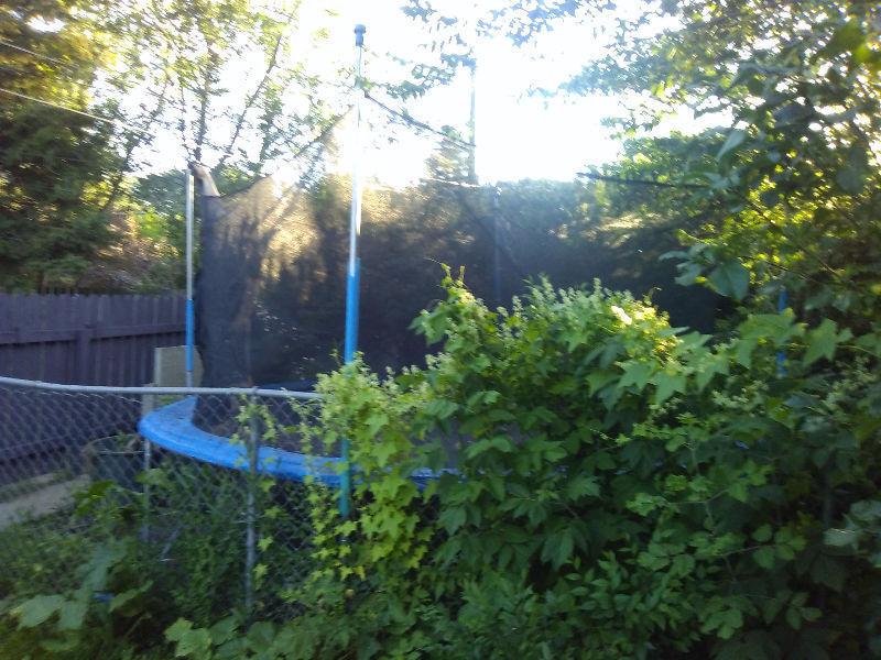 14 Foot Trampoline With Safety Enclosure - Gone Pending Pick-up!