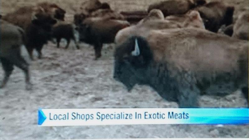 Exotic Retail Meat Shop for Sale