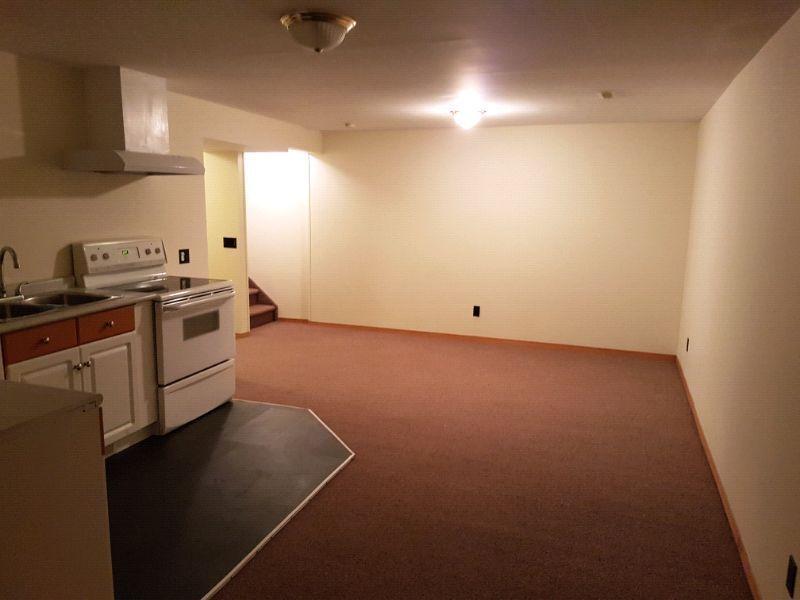 2 bedrooms clean and beautiful basement