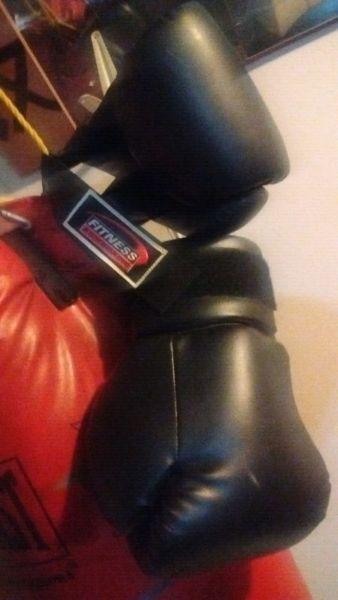 Everlast heavy bag\boxing mitts