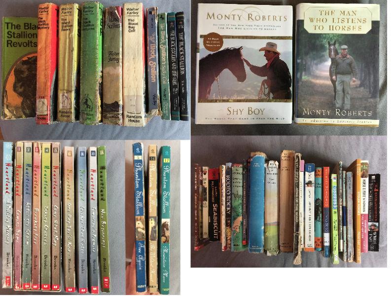 Kids, Teen, Adult, Animal & Horse Books