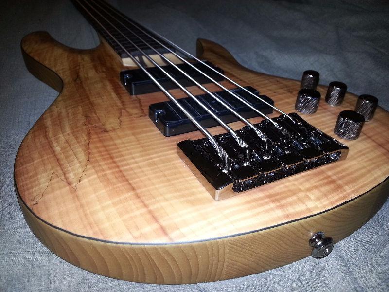 LTD B205 Fretless Electric Bass 5-String