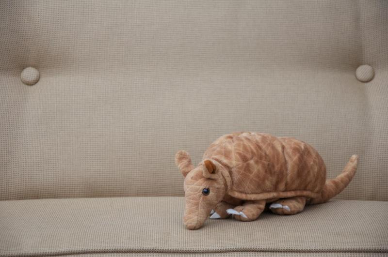 Armadillo Stuffed Animal