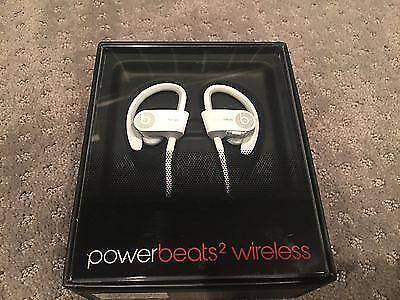 Beats by Dr. Dre Powerbeats2 Wireless Earbuds