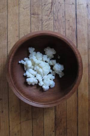 Healthy Dairy Kefir Grains