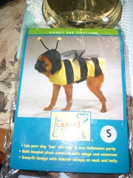 Casual Canine Polyester Honey Bee Dog Costume, Small 12-Inch