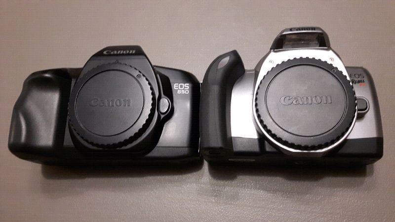 Canon SLR cameras