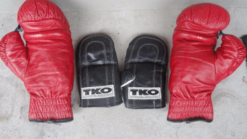Everlast 14 oz Boxing Training Gloves