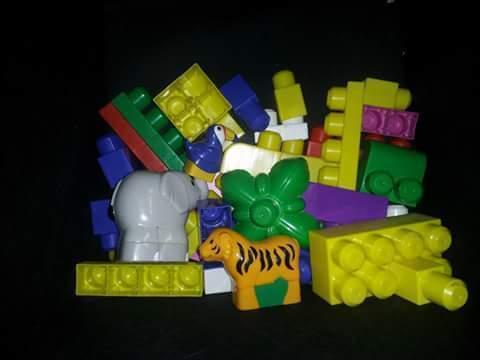 Mega Blocks, zoo animals and basic blocks