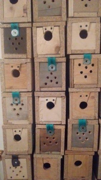 weasel boxes
