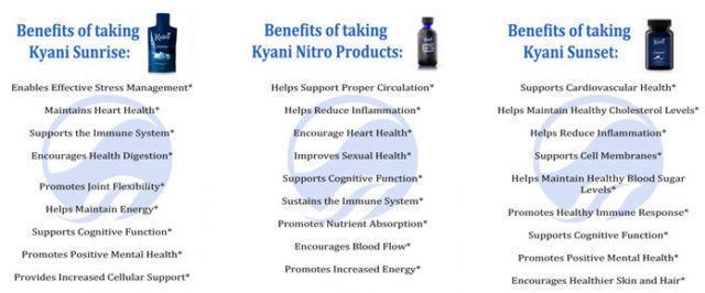 Kyani Triangle of Health (Supplements)