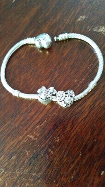 Pandora bracelet (Brand New)