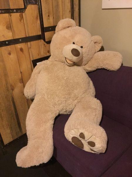 Five foot teddy bear