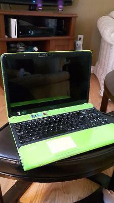 Lime Green Vaio Laptop