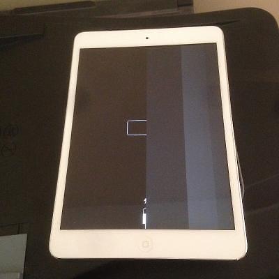 2 iPad Mini's 16GB for parts or repair