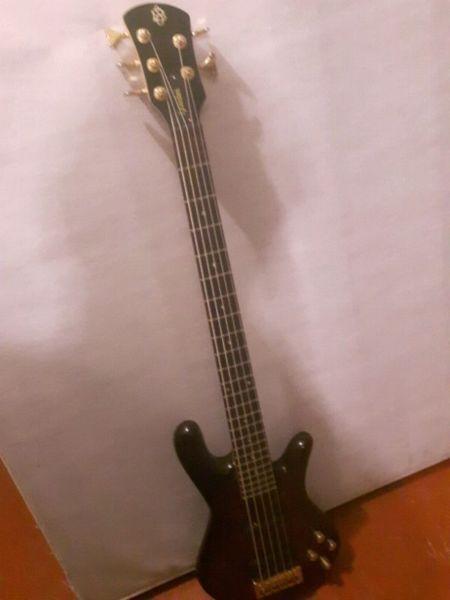 Spector 5 string Bass