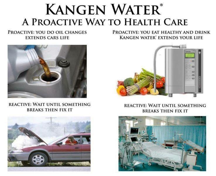 Kangen Alkaline Water Ironizing System-