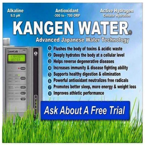 Kangen Alkaline Water Ironizing System-