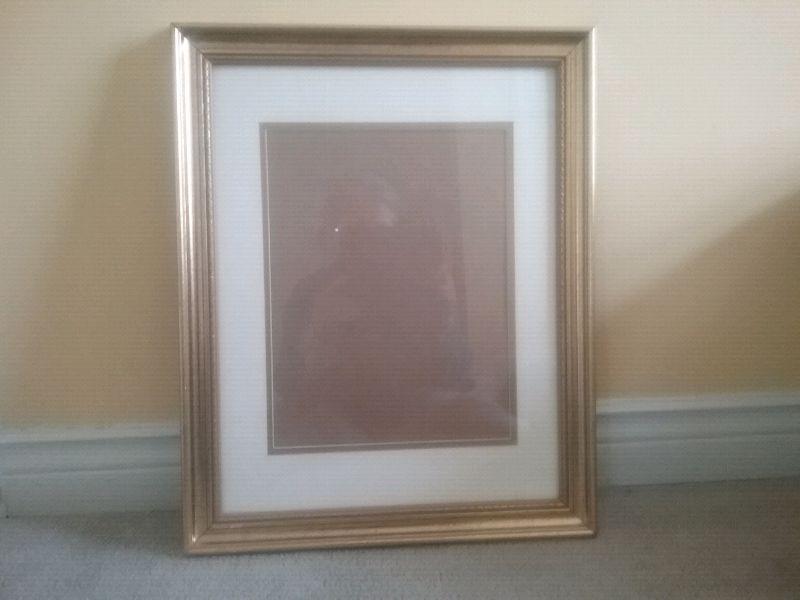 Brand new! Antique-look picture frame w/ double matting
