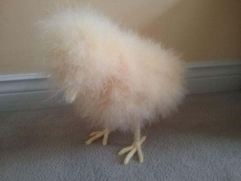 Nursery decor: fluffy, sweet yellow chick with real feathers