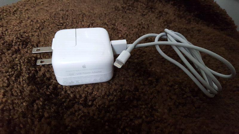 Ipad OEM charger with lightning cable