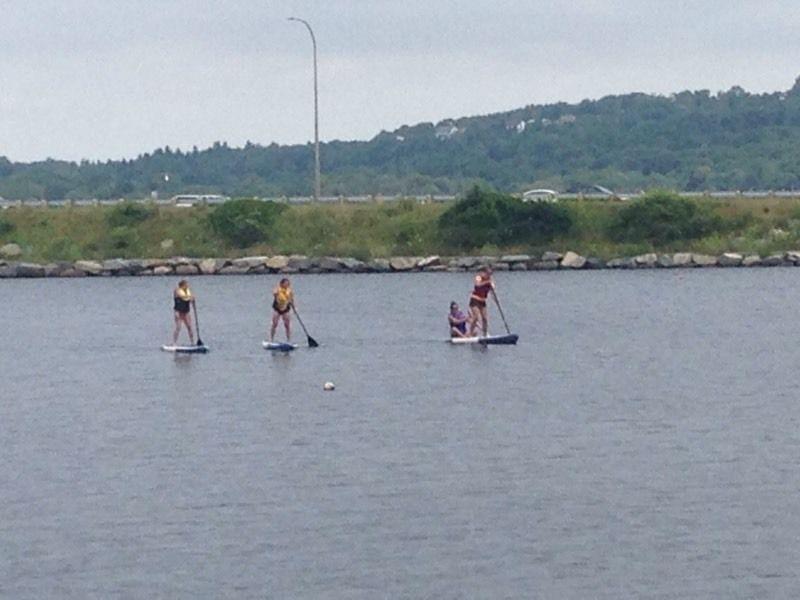 Rent a paddle board today there fun