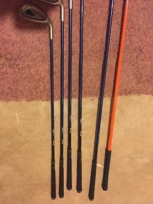 PING clubs