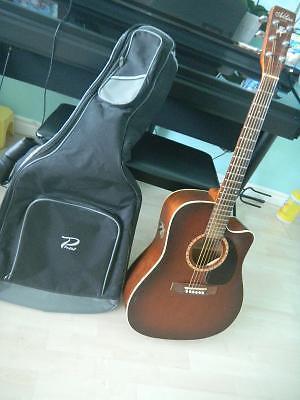 Art and Lutherie Acoustic/Electric guitar & Case