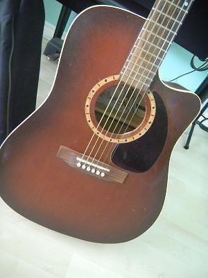 Art and Lutherie Acoustic/Electric guitar & Case