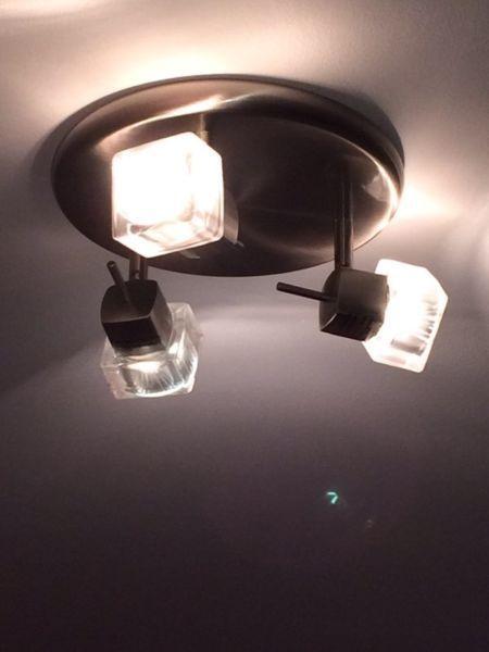 Ceiling mounted light