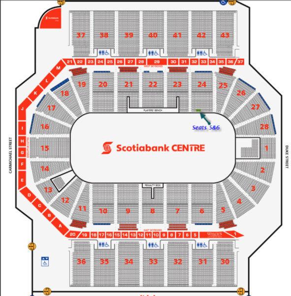 Leafs vs Sens Excellent Ice Level Seats (Close to players bench)