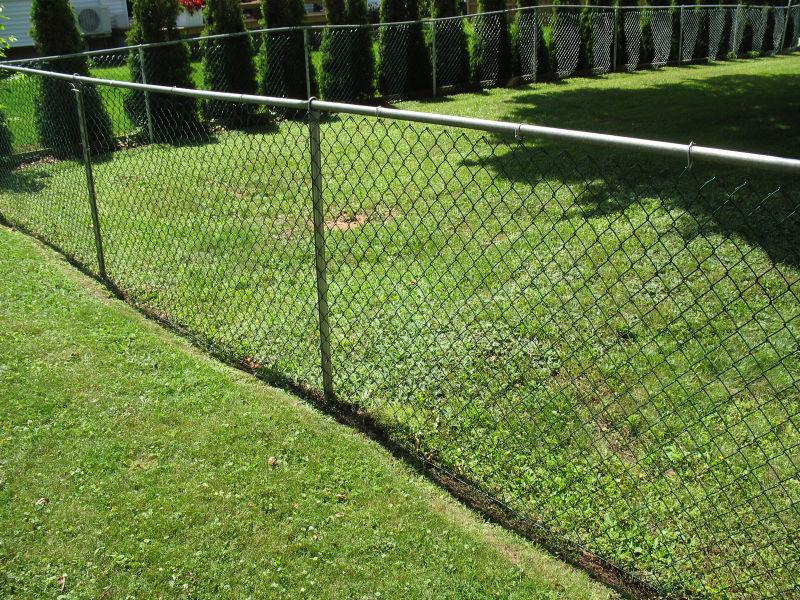Green wire fencing