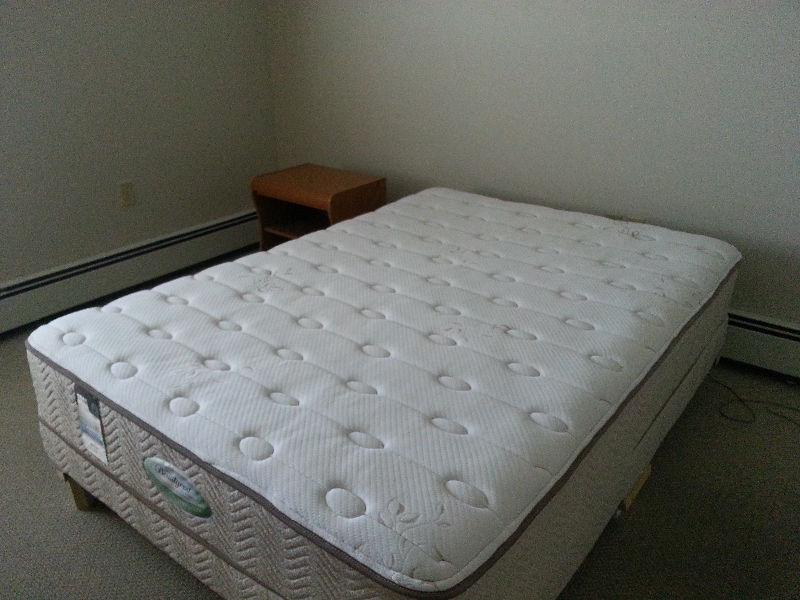 Mattress and Box Spring (Double)