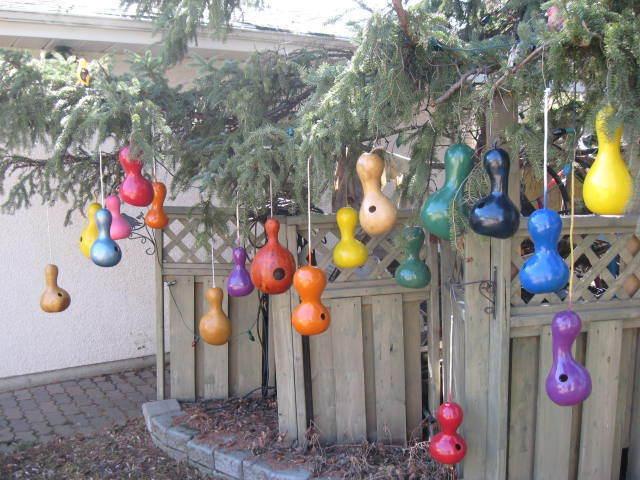 BIRD HOUSES - ( Made from GOURDS )