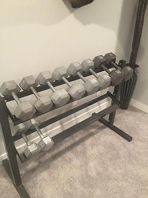 Dumbbells and rack
