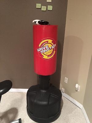 Boxing training bag