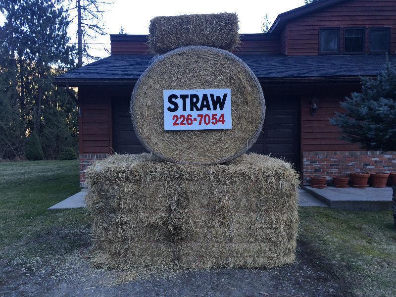 Straw bales many types free delivery