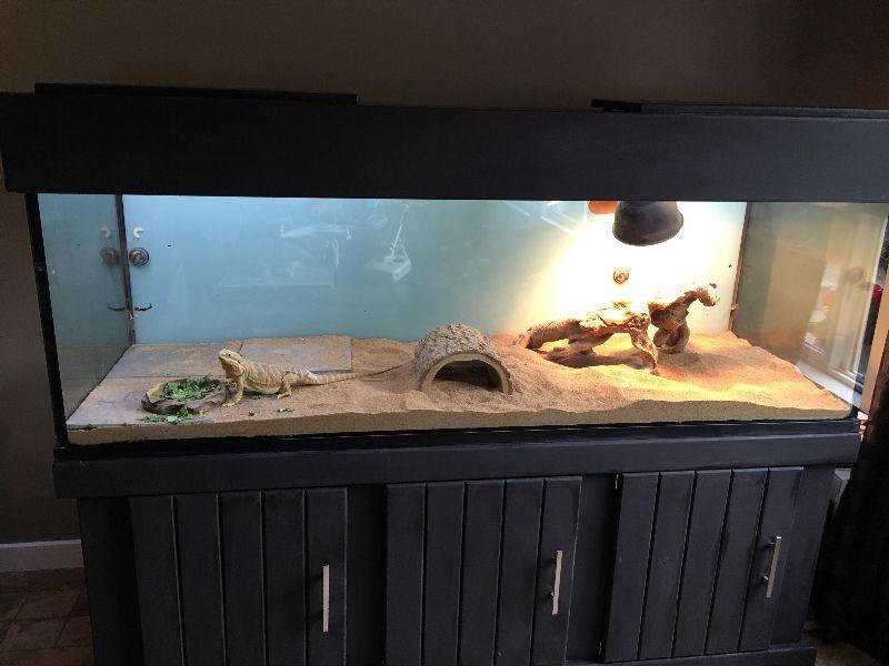180 gallon tank with stand & top