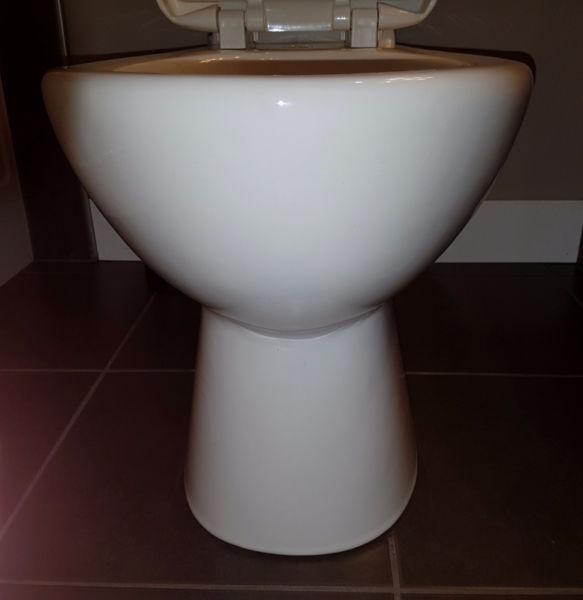 American Standard Toilet Bowl