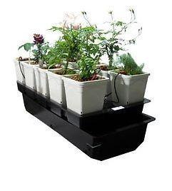 Versa Grow 10-Plant Hydroponic Garden plus 250 Watt Light kit