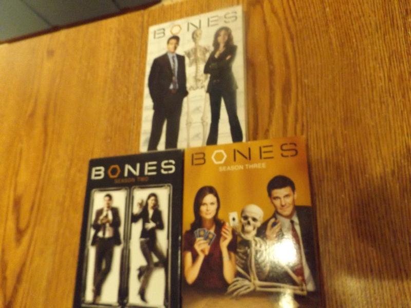 Seasons 1-10 of 'Bones' (tv series)
