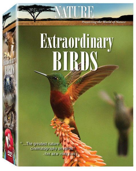 Extraordinary Birds-new and sealed-6 dvd box set